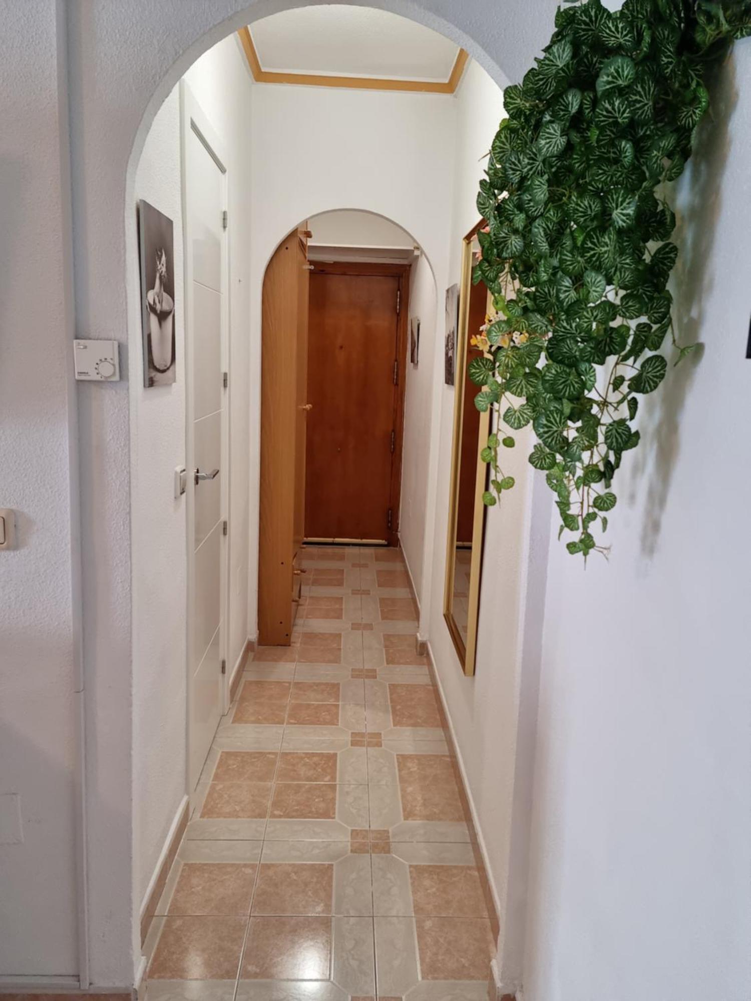 Nice Studio,10 Min To Del Cura Beach With Swim.Pool Torrevieja Exterior photo